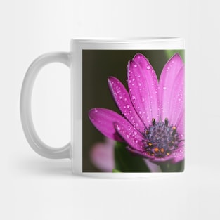 Purple Daisy. Mug